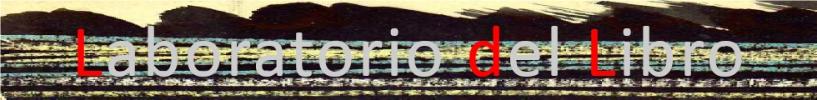 Banner di Laboratorio del libro